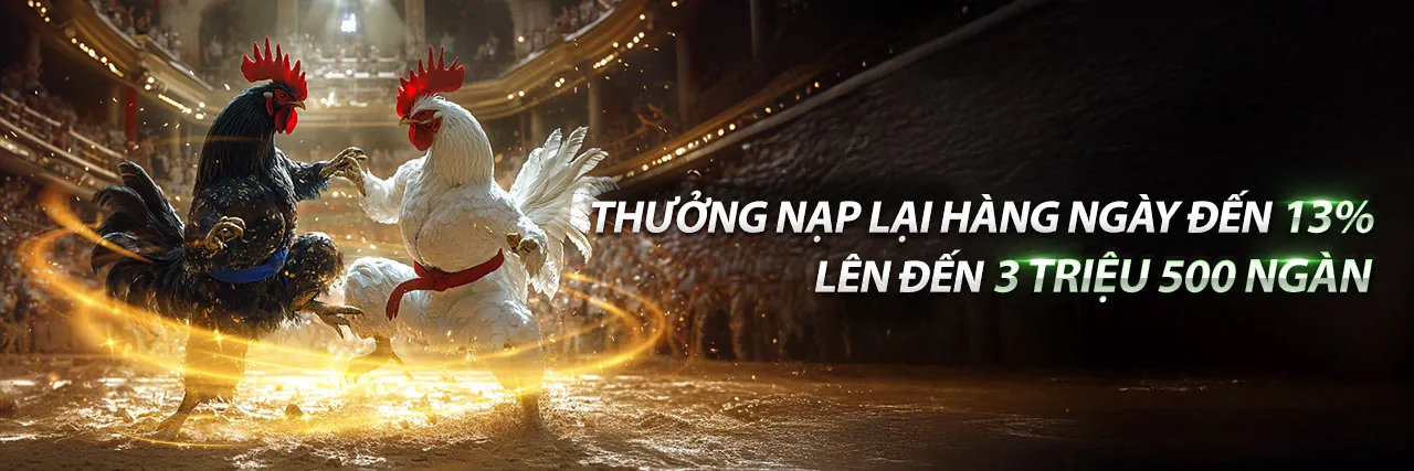 Bí quyết chiến thắng máy đánh bạc với tỷ lệ thanh toán cao tại i5bet chính thức